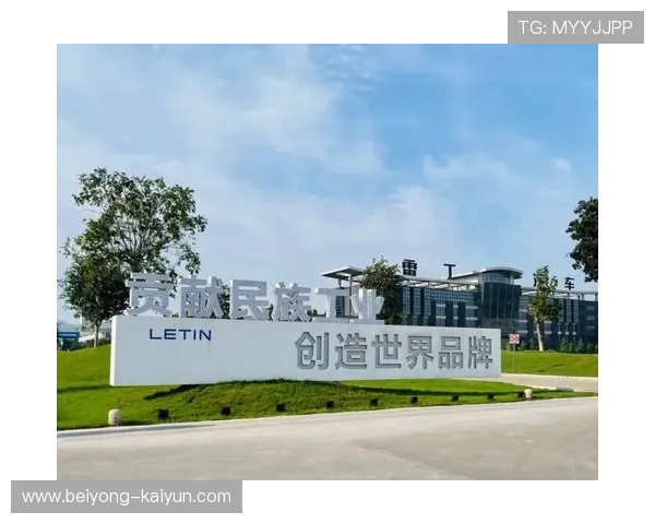 雷丁俱乐部历史辉煌与未来发展潜力的深度剖析与展望